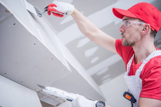 Best Drywall Removal and Disposal  in Pioneer Village, KY